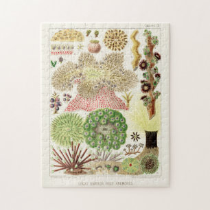 Vintage Great Barrier Reef of Australia Anemones Jigsaw Puzzle