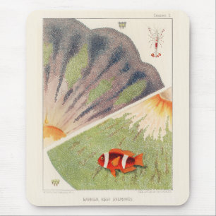 Vintage Great Barrier Reef of Australia Anemones Mouse Pad
