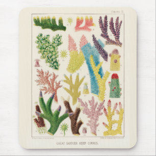 Vintage Great Barrier Reef of Australia Corals Mouse Pad