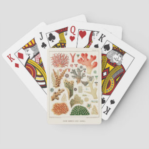 Vintage Great Barrier Reef of Australia Corals Playing Cards