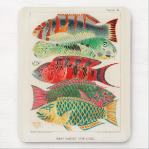 Vintage Great Barrier Reef of Australia Fishes Mouse Pad
