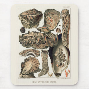 Vintage Great Barrier Reef of Australia Oysters Mouse Pad