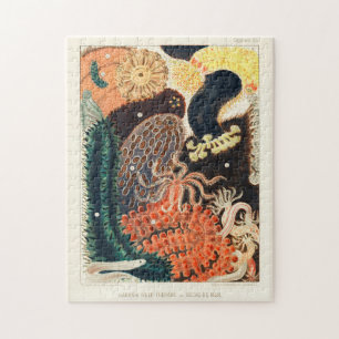 Vintage Great Barrier Reef Trepang or Bêche-de-Mer Jigsaw Puzzle