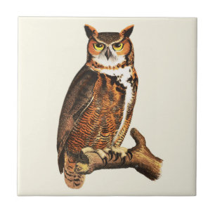 Vintage great horned owl drawing tile