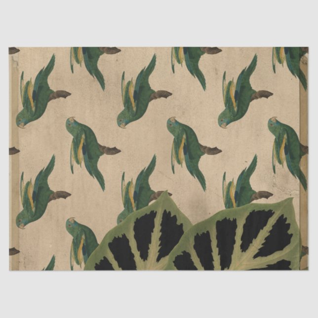 Vintage Green and Yellow Birds Decoupage Tissue Paper (Front)