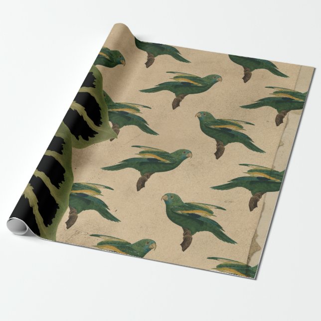Vintage Green and Yellow Birds Wrapping Paper (Unrolled)
