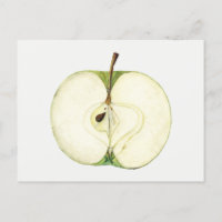 Vintage Green Apple Fruit Painting
