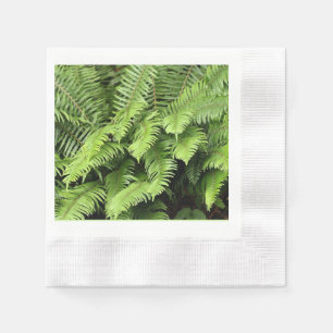 Vintage Green Fern Paper Napkin