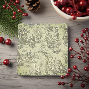 Vintage green grey toile de jouy pattern stone coaster