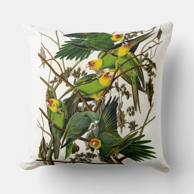 Vintage Green Parakeets Parrots Throw Pillow (Front)