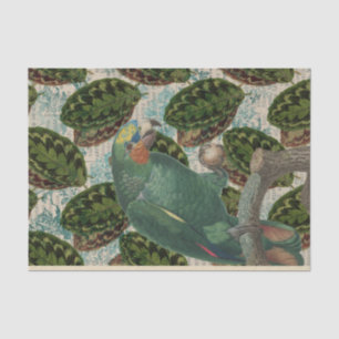 Vintage Green Parrot Tropical Tissue Paper