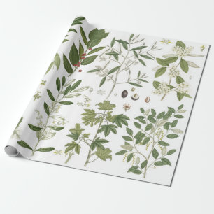 Vintage Green Plants Wrapping Paper