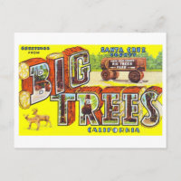 Vintage Greetings from Big Trees, Calif.,