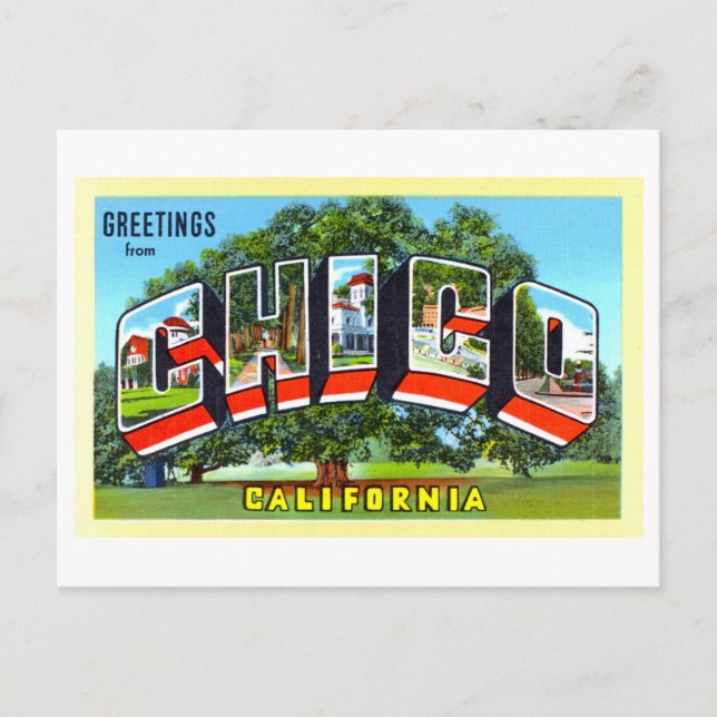 Vintage Greetings from Chico, California, Postcard (Front)
