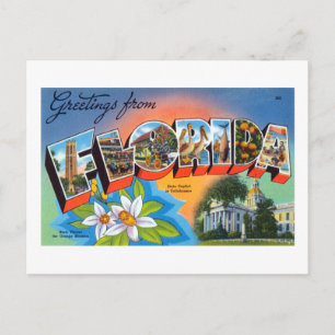 Vintage Greetings from Florida Poster Postcard