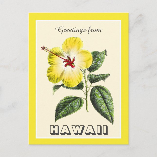 Vintage Greetings from Hawaii Yellow Hibiscus Postcard (Front)