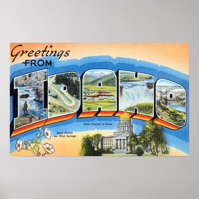 Vintage Greetings From Idaho Travel Poster (Front)
