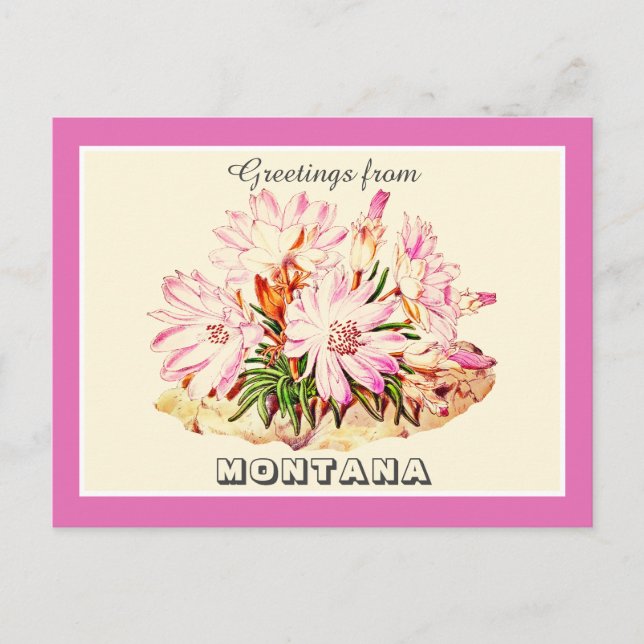 Vintage Greetings from Montana Bitterroot  Postcard (Front)
