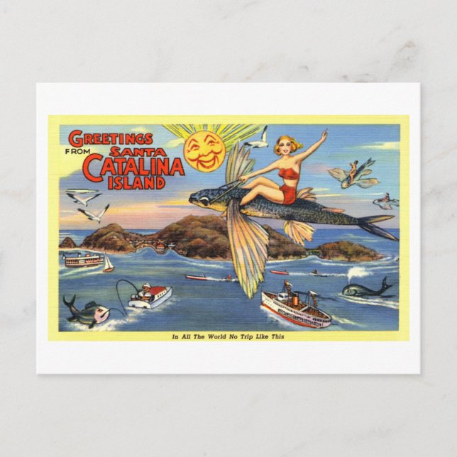 Vintage Greetings from Santa Catalina Island Postcard (Front)
