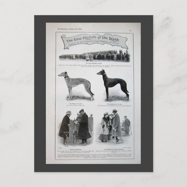 Vintage Greyhound News Clipping Postcard (Front)