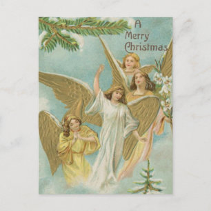 Vintage Group of Christmas Angels Holiday Postcard