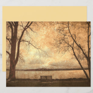 Vintage Grunge Park Bench Trees Rustic Texture
