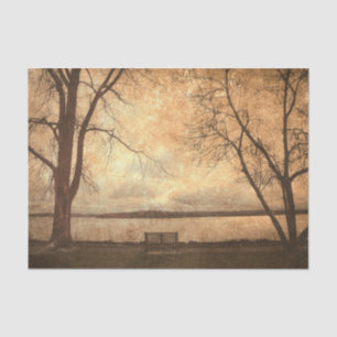Vintage Grunge Park Bench Trees Rustic Texture Tissue Paper