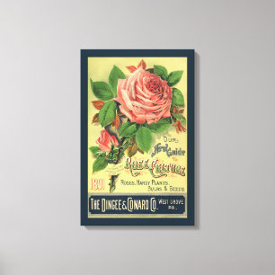 Vintage Guide to Rose Culture Book Cover Art, 1891 Canvas Print