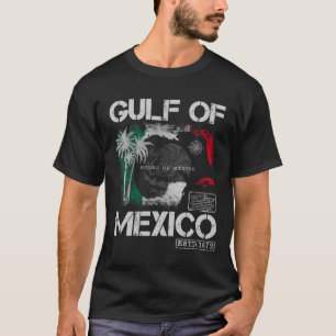 Vintage Gulf Of Mexico 1672 Historic Map Retro Bea T-Shirt