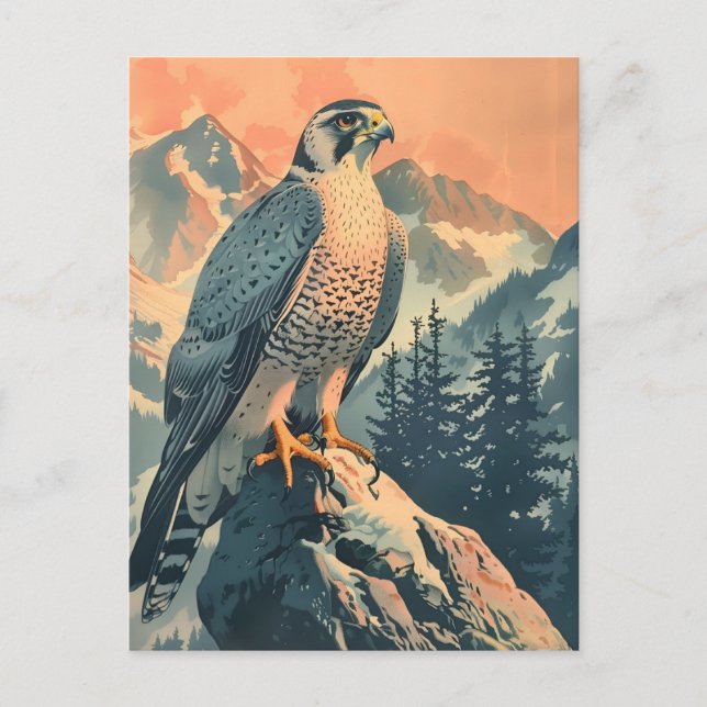 Vintage Gyrfalcon Illustration Postcard (Front)