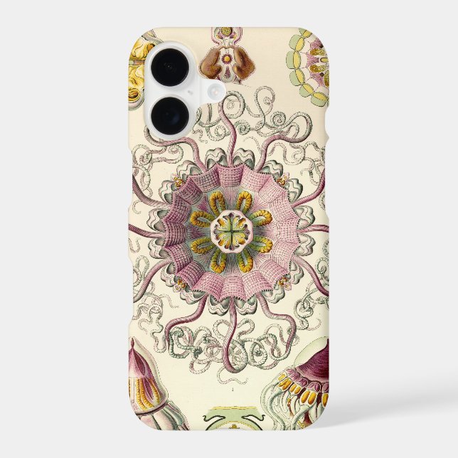 Vintage Haeckel (Back)