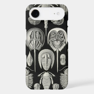 Vintage Haeckel