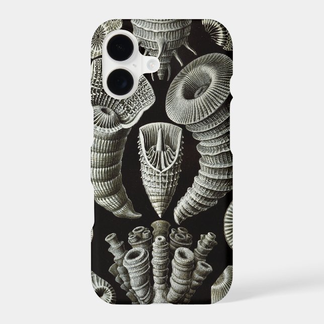 Vintage Haeckel (Back)