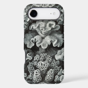 Vintage Haeckel