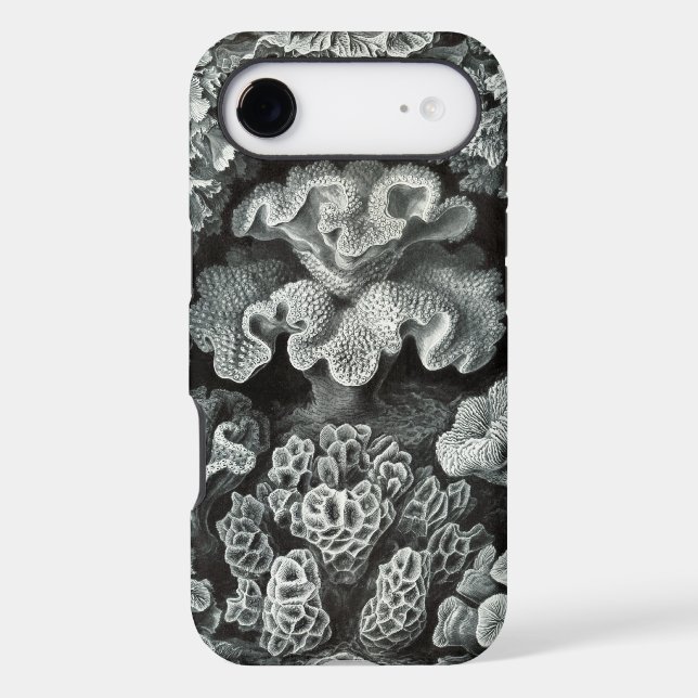 Vintage Haeckel (Back)