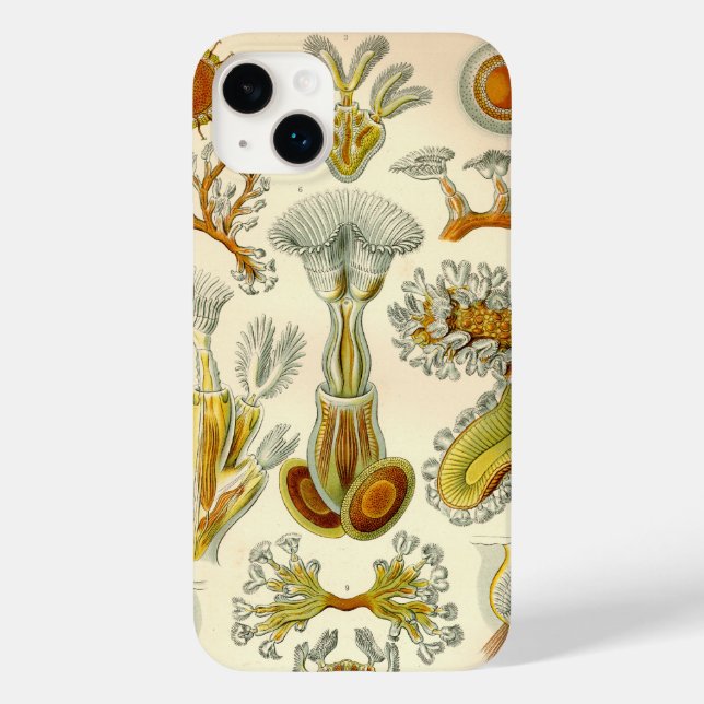 Vintage Haeckel Case-Mate iPhone Case (Back)