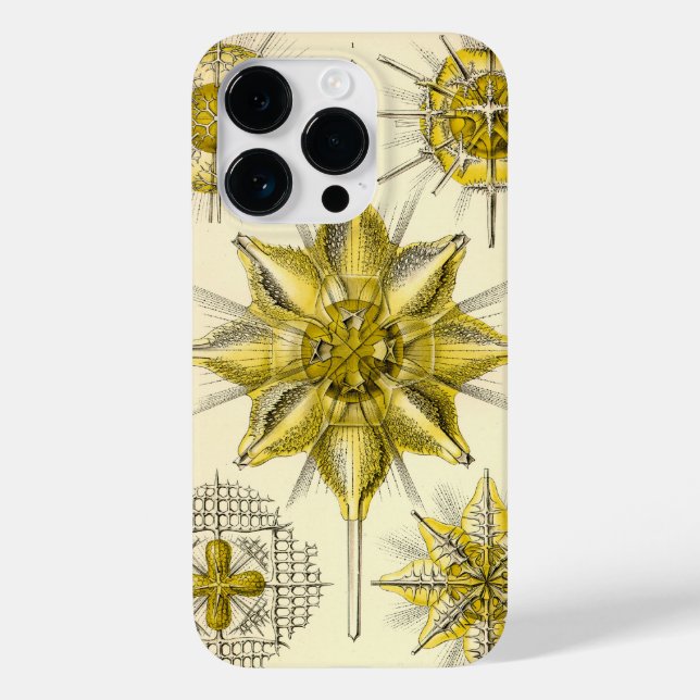 Vintage Haeckel Case-Mate iPhone Case (Back)