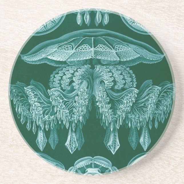 Vintage Haeckel Coaster (Front)
