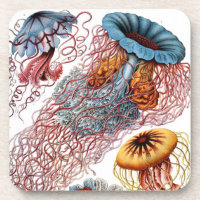 Vintage Haeckel