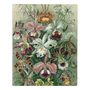 Vintage Haeckel Colourful Orchid Lithograph Poster Jigsaw Puzzle