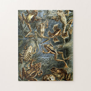 Vintage Haeckel Frogs and Toads Jigsaw Puzzle