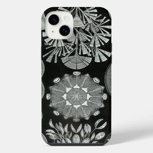 Vintage Haeckel iPhone Case (Back)