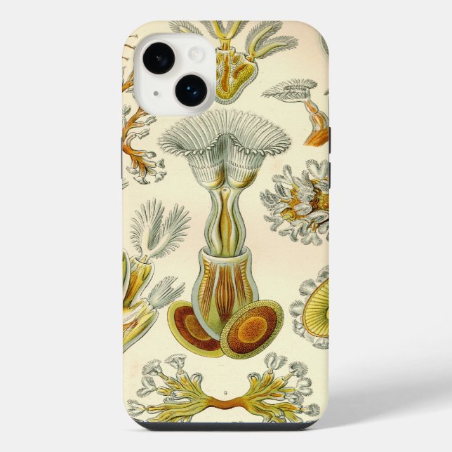 Vintage Haeckel iPhone Case (Back)