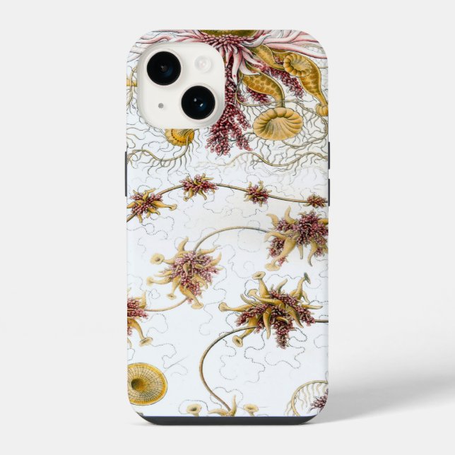 Vintage Haeckel iPhone Case (Back)