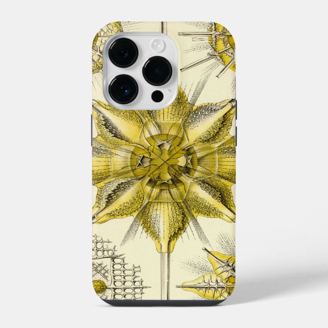 Vintage Haeckel iPhone Case (Back)