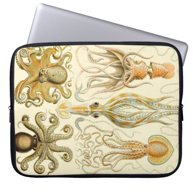 Vintage Haeckel Laptop Sleeve (Front)