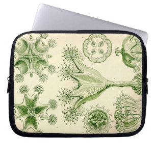 Vintage Haeckel Laptop Sleeve