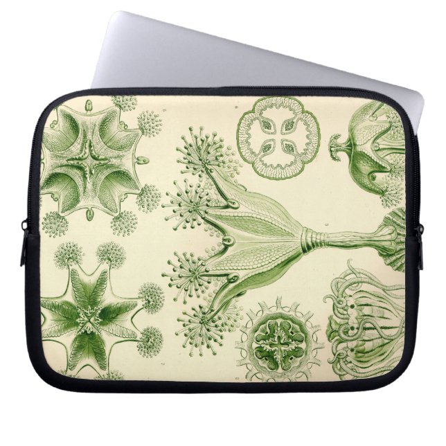 Vintage Haeckel Laptop Sleeve (Front)