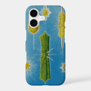 Vintage Haeckel modifié