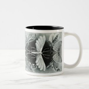 Vintage Haeckel Moth Two-Tone Coffee Mug